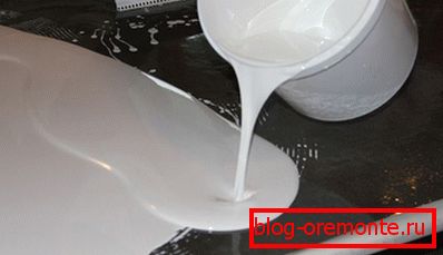 Osnovna plast