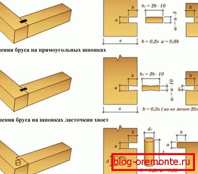 Še en jasen primer nosilcev