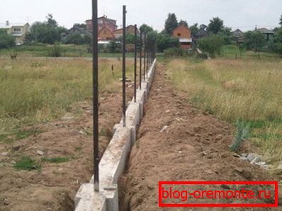 Fotografija fundacije, vlije pod betonsko ograjo Fotografija fundacije, vlije pod betonsko ograjo