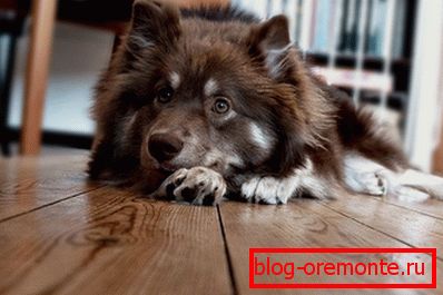 Odpornost proti obrabi laminata