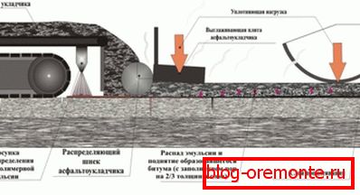 V asfaltu za fotografiranje. V asfaltu za fotografiranje.