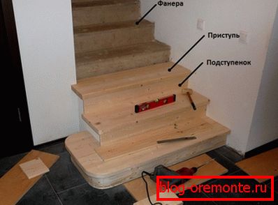 Betonsko stopnišče деревом