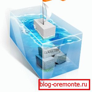 Glavne razlike v celičnih blokih Glavne razlike v celičnih blokih
