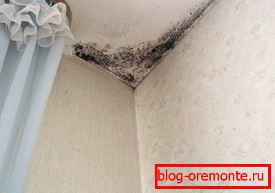 Mould v kotu sobe Mould v kotu sobe