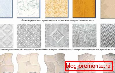 Raznolikost zasnove Raznolikost zasnove