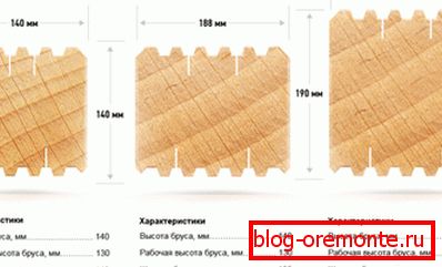 Profil profilnega žarka Profil profilnega žarka