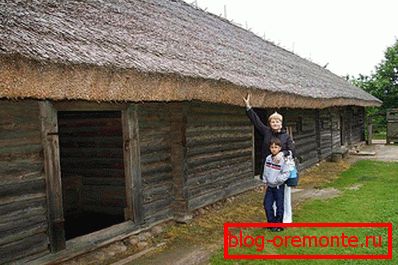 Reed strešne lastnosti